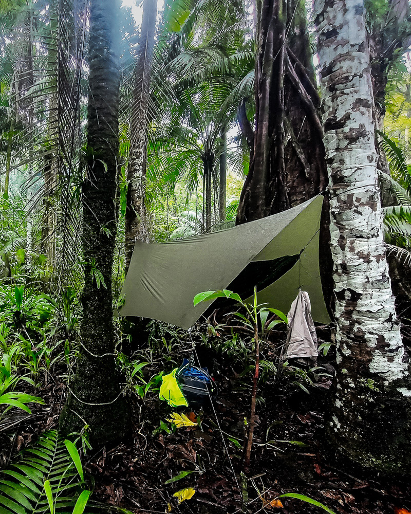 Comment installer une fausse fourche d'élagage ? - Fausse fourche FTC TREE JOKER LIGHT