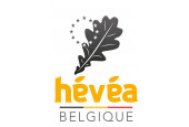 Hévéa Belgique
