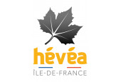 Hévéa Ile-de-France