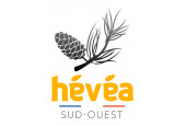 Hévéa Sud-Ouest